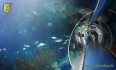 4. CT Sea Life