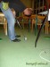  1. Club-Turnier Chemnitz - Amber Hotel #41