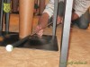 BT - 2010-10-22 DSC Dresdner Sportclub 1898 - Sponsorenevent - Artis Hotel #14