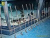  4. Club-Turnier Dresden - Sea Life #1