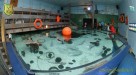  4. Club-Turnier Dresden - Sea Life #15