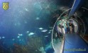  4. Club-Turnier Dresden - Sea Life #20