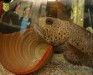  4. Club-Turnier Dresden - Sea Life #27