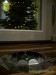 Weihnachtsbaum - Weihnachtsfeier BTK mit Bürogolf Online am 19.12.2008