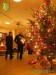 Weihnachsbaum - 2. Hotelgolfen im Hotel Elbflorenz mit Bürogolf Online am 02.12.2009