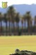 Bürogolf Online auf dem Furnace Golf Course in Death-Valley in den USA