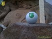 Bürogolf Online zwischen den Sandskulpturen in Warnemünde