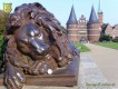 Bürogolf Online mit dem Löwen in Lübeck