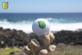 Bürogolf Online am grünen Sandstrand auf Hawaii