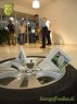  22. Club-Turnier Dresden - BMW Melkus #33