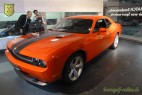  20. Club-Turnier Dresden - Glöckner Automobile #41