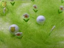 BT - 2011-05-27 Stuttgarter Versicherungsgruppe #16