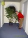 Zimmerpflanze - Mieterstammtisch im Waldschlößchen mit Bürogolf Online am 12.01.2010